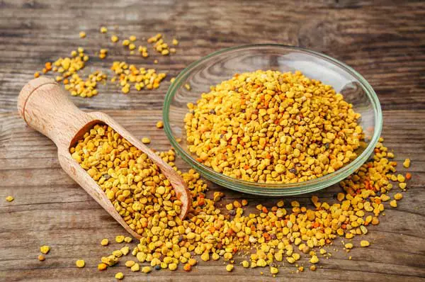 Can I Feed Bee Pollen To My Pet Pigeons