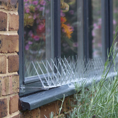 Spike strips installed on window sill to keep pigeons away
