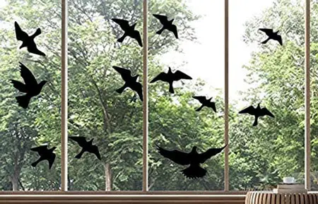 Window decoys used to deter pigeons