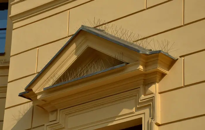 Pigeon spikes installed on building