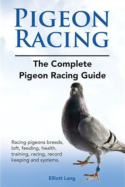 Pigeon Racing by Elliott Lang