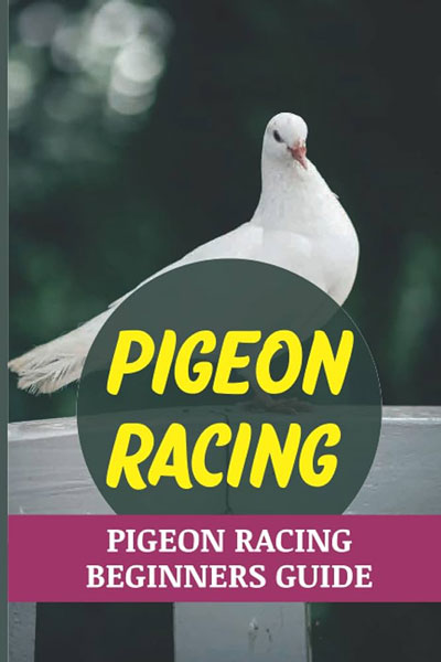 Pigeon Racing by Maris Colello