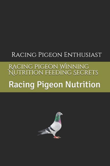 Racing Pigeon Winning Nutrition Feeding Secrets by Racing Pigeon Enthusiast