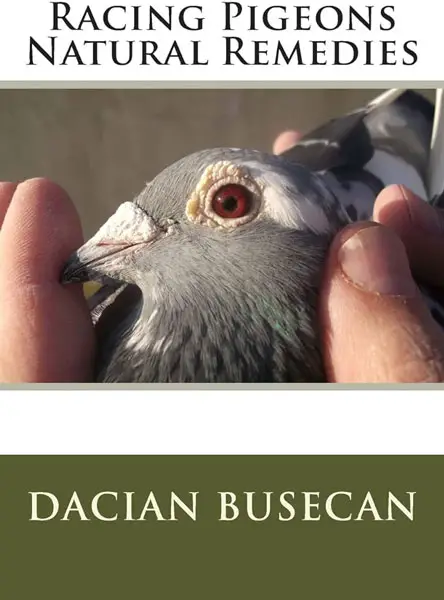 Racing Pigeons Natural Remedies by Dacian Busecan