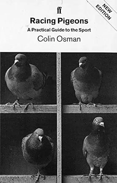 Racing Pigeons by Colin Osman