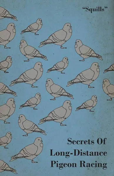 Secrets Of Long-Distance Pigeon Racing by Squills