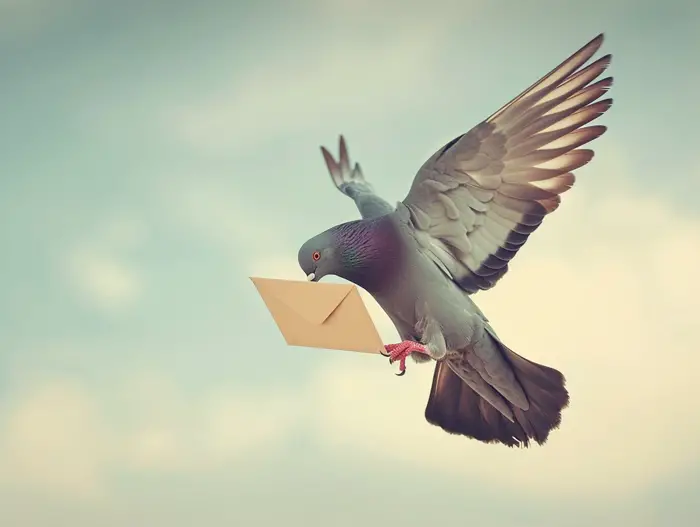 Mystery of Carrier Pigeon Navigation