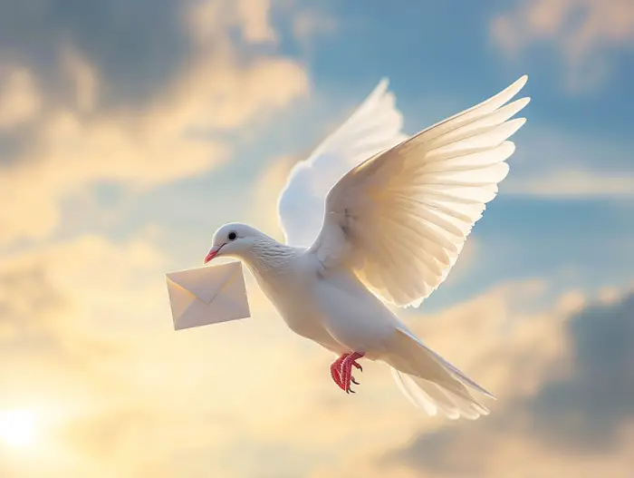 Remarkable Memory of Carrier Pigeons